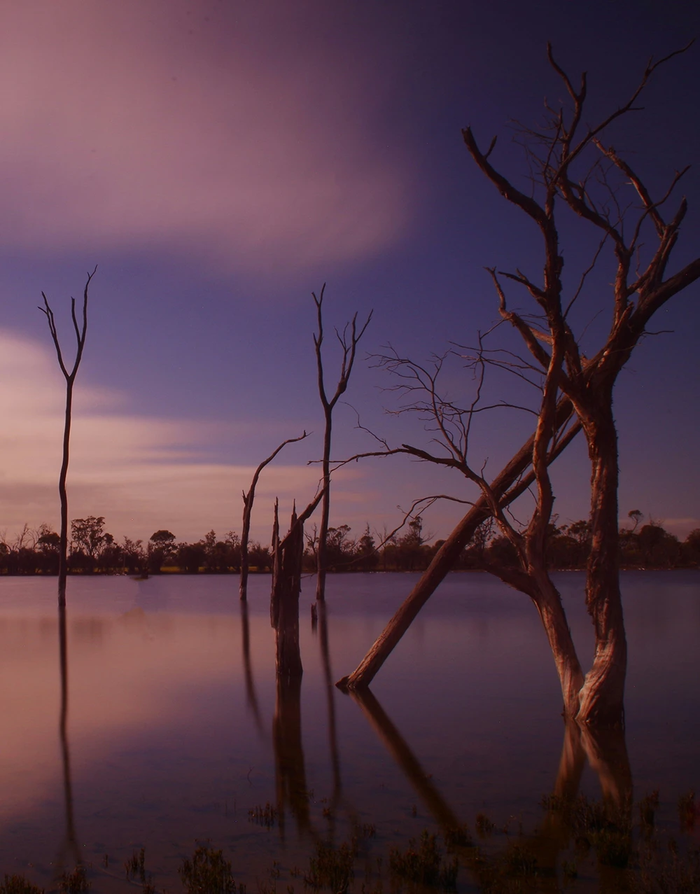 Empty_Cradle_Australia_Childlessness_Counselling_469_Crop
