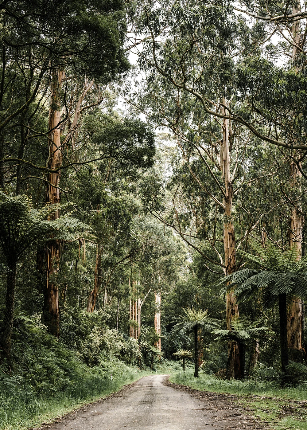 Empty_Cradle_Australia_Childlessness_Counselling_481_